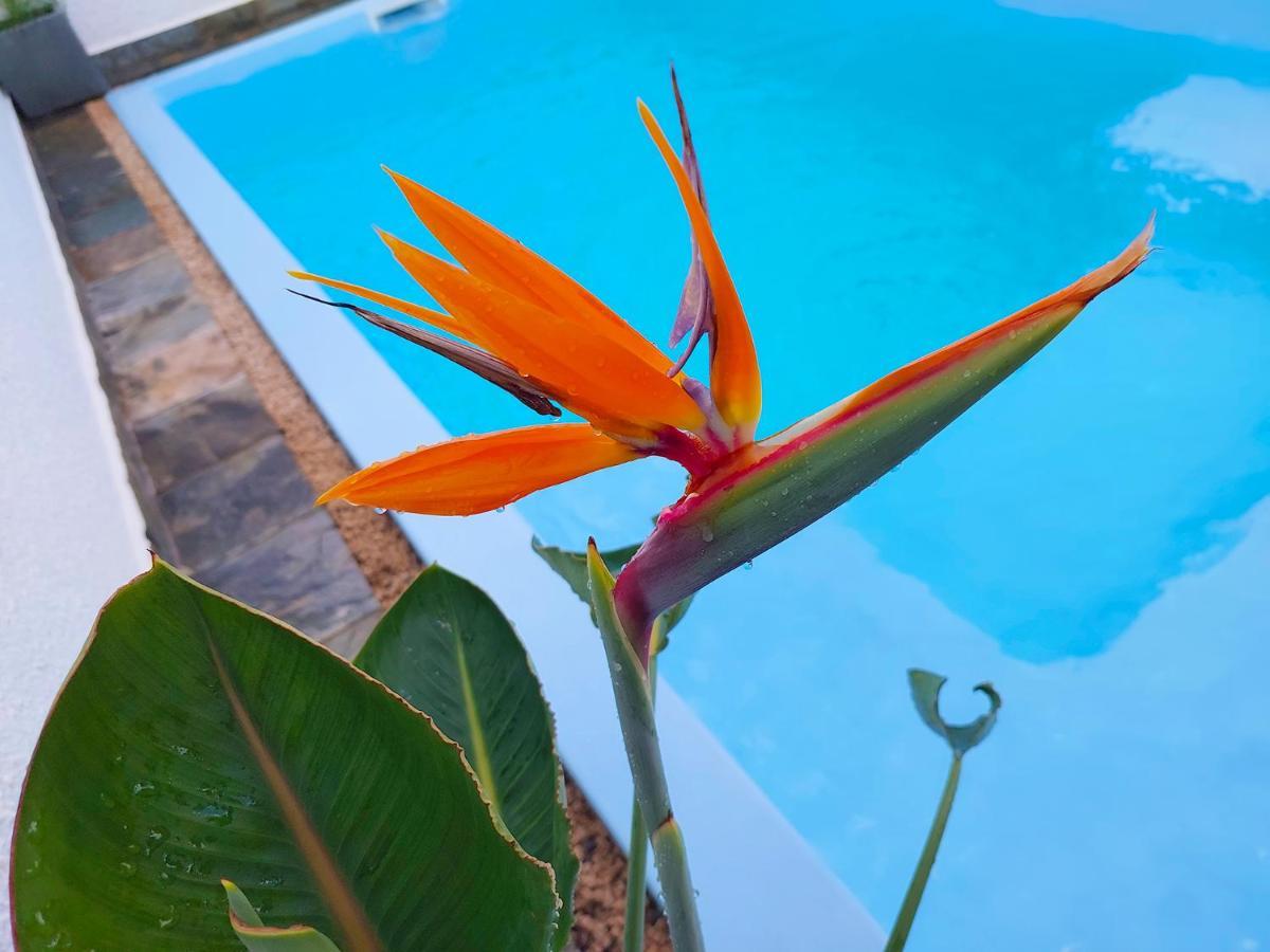 Golden Square Villa & Private Pool Flic en Flac Luaran gambar